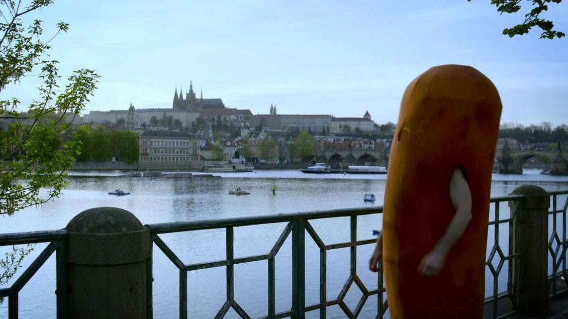 Bábu pod kořenem ctím, říká tvůrce filmu na motivy nejbizarnější české televizní reportáže - Novinky